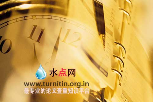 turnitin 抄袭